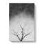 Bird House In A Tree - Wrapped Canvas-56643352