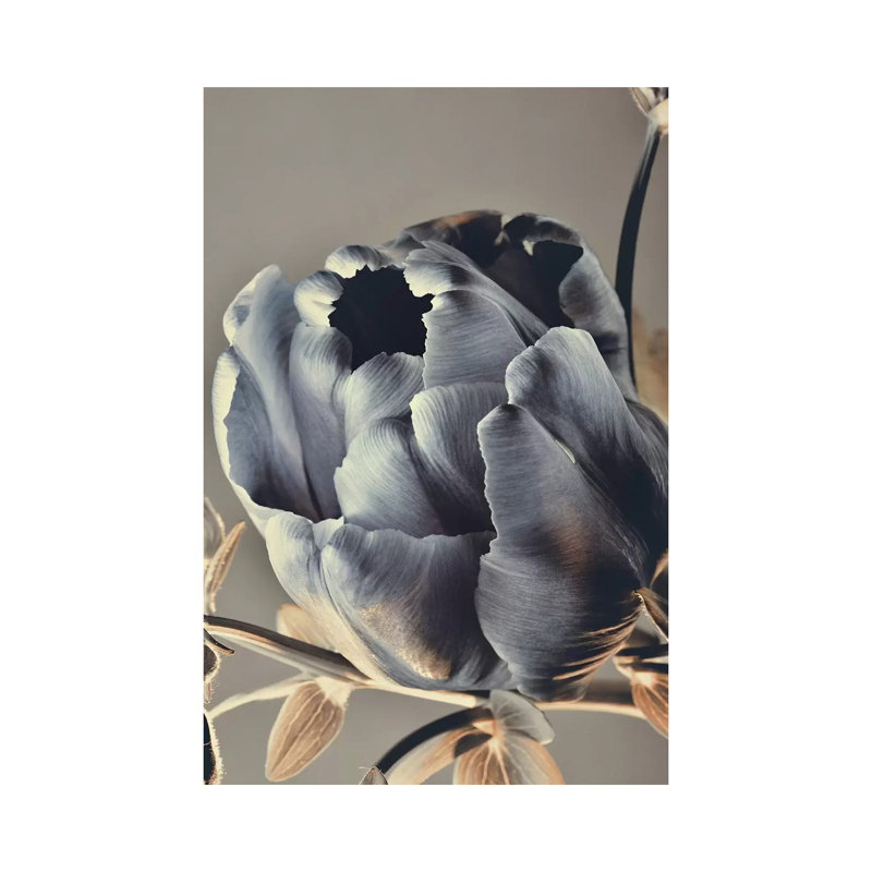Baroque III 1 Piece Painting on Canvas, 101.6cm H x 66.04cm W x 1.91cm D, Wrapped Canvas