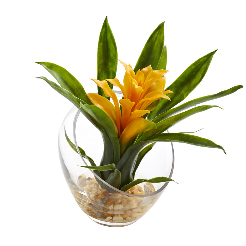 Arrangement floral de broméliacées tropicales dans un vase, Jaune