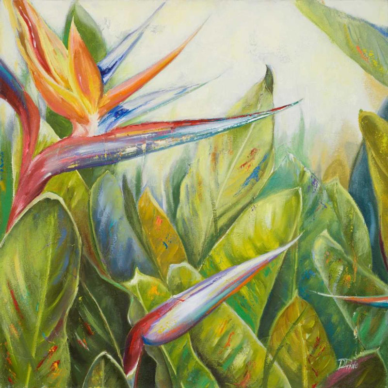 Bayou Breeze Pinto, galerie d'art sur toile tendue de Patricia, oiseau du paradis II, H 28 po x l 28 po
