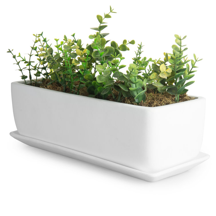 Windowsill Ceramic Planter Box