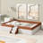 Queen Size Upholstered  Daybed Frame With Fence And Stairs-1838282271