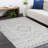 Handmade Area Rug-281289744