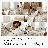 Ring Stitch Paisley Comforter-97152699-82896438