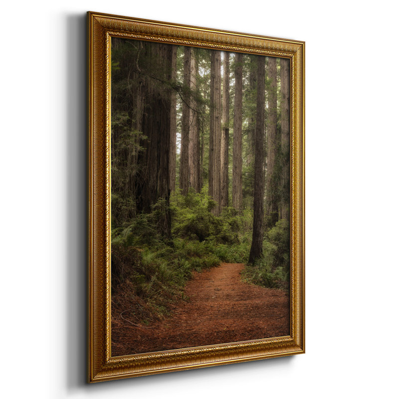 " Forest Path II ", 16" W x 20" H