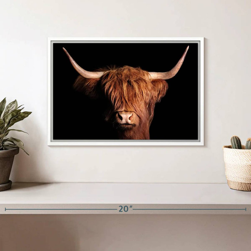 Vache écossaise Highland, Cadre flottant blanc, 13 po x 9 po