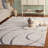 Ashal Abstract Cream/Gray Area Rug-1598183056
