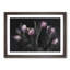 Tulip Flowers in Purple - Framed Print-55615102-55615108