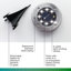Bell+Howell Solar Powered 4 LED Disk Lights, Wireless Auto On/off Solar Pathway Garden Lights