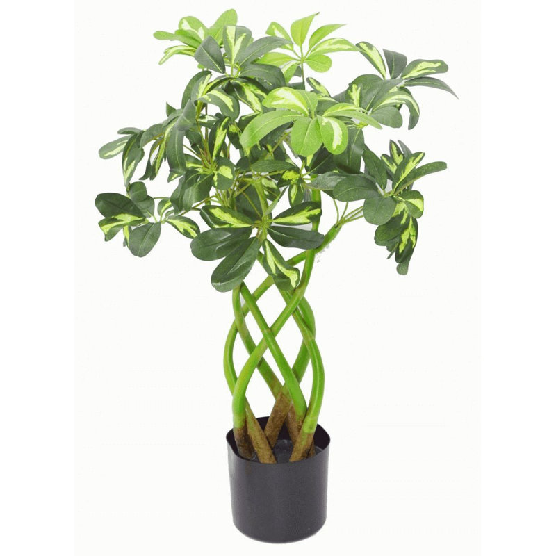 Anivea 70cm Faux Bonsai Tree in Pot