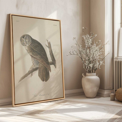 1Perched Owl Print on Rolled Canvas
