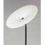 Cynar 65'' LED Floor Lamp