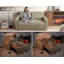 Canapé-lit l 48,5 po Shortridge-172112578
