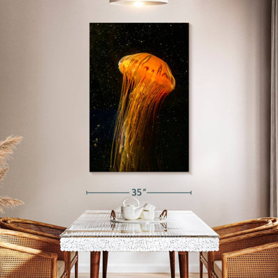 Brampt Pacific Sea Nettle