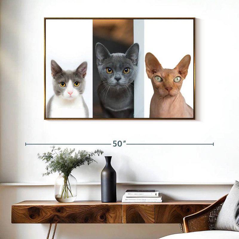 Staring Cats, Cadre flottant doré, 40 po x 27 po