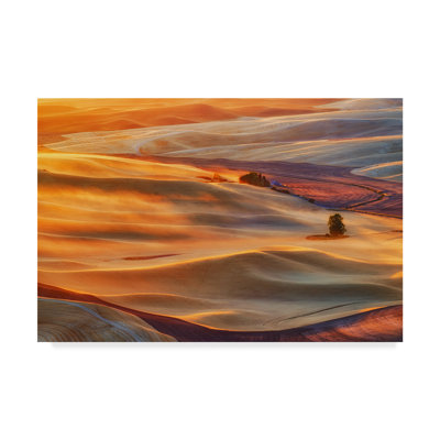 « golden palouse », reproduction de photo sur toile tendue