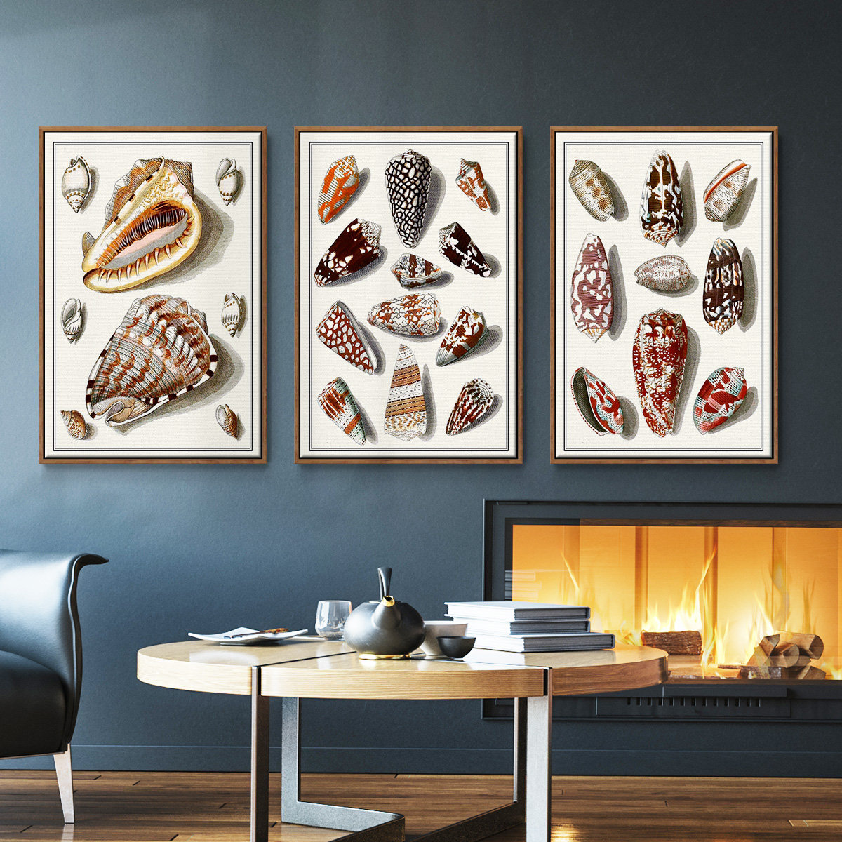 Framed Shell Collection Wexford Home Collected Shells IV - 3 Piece Single Picture Frame Set on ...