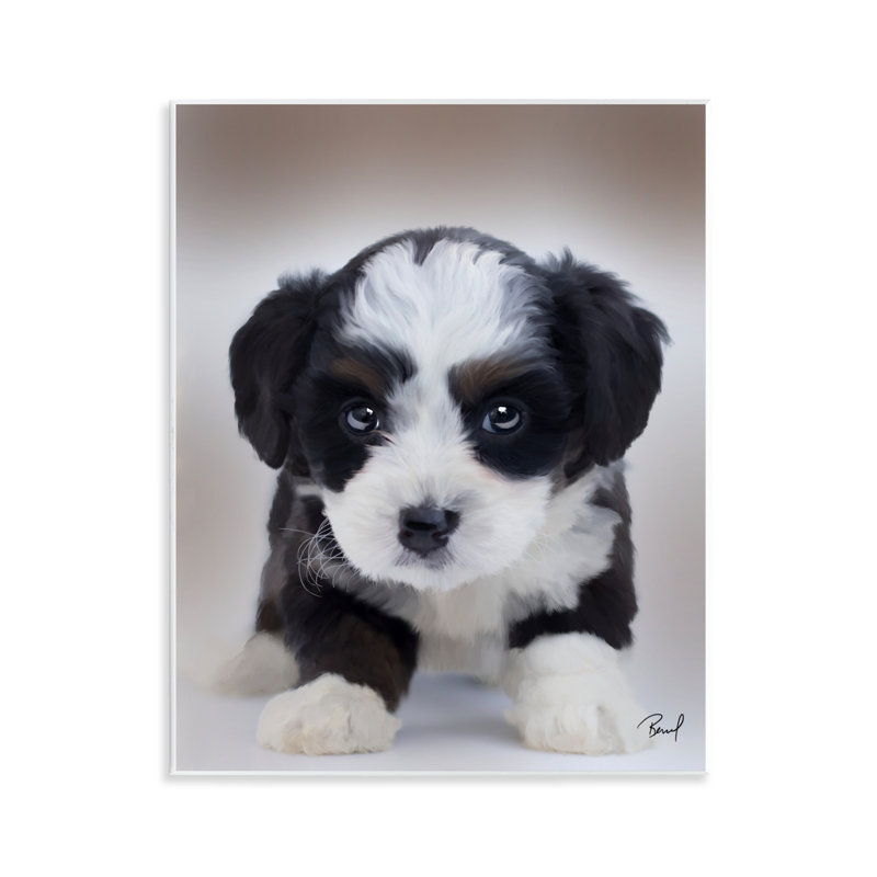 "Fluffy Bernedoodle Puppy", art par Renel Peters