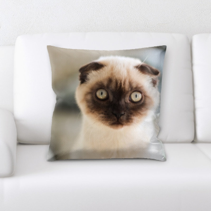 Microsuede Reversible Throw Pillow