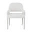 Delray Dining Arm Chair-1560894370
