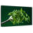 Taste Of Arugula-1376440488