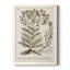 «Sepia Botanical Journal I», reproduction d'art sur toile-88391914-88391915