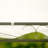 101.2" W x 157.5" D Canopy