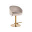 Zabi Swivel Adjustable Height Bar Stool-1592799060