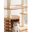 Arbre à chat moderne en bois