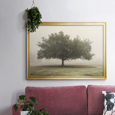 " Trees In The Fog II "