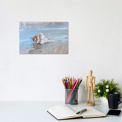 Shore Shell I by Sally Swatland - Wrapped Canvas Print