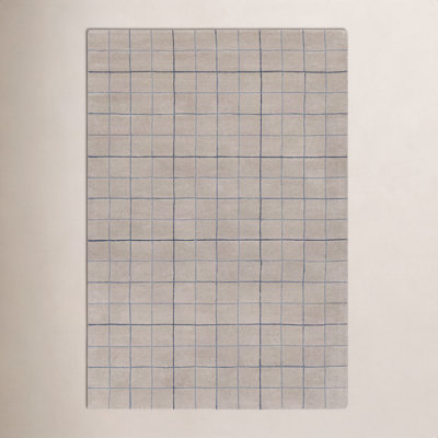 Mallory Gray Hand Tufted Area Rug