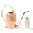 SMALL COPPER WATERING CAN