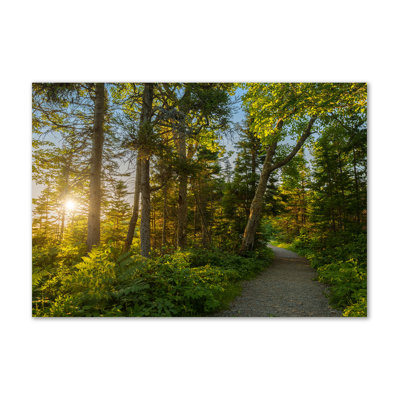 Forest - Wrapped Canvas Print