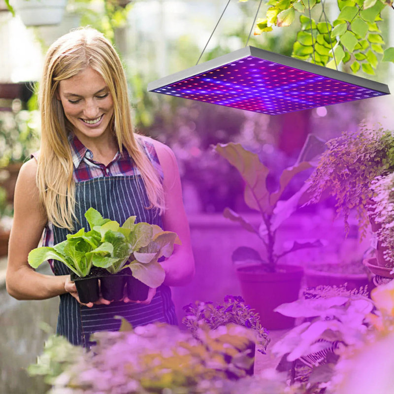 Lumières de croissance à DEL pour plantes d'intérieur, lumière à col-de-cygne réglable à 360 ° pour fleur de semis