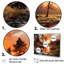 River Though Forest Sunrise I - Forest Canvas Art Set-991268507-991268505