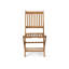 Nayoun Solid Wood Patio Folding Chair Folding Chair Set-2110955504-2110955505