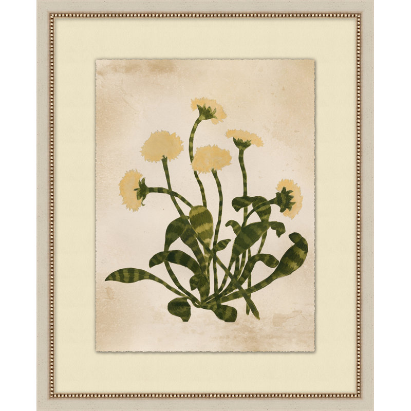 Friendly Flora 2