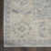 Casteel Oriental Indoor Rug