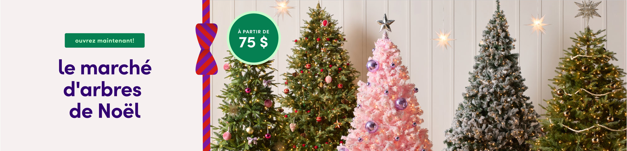 le marché d'arbres de Noël