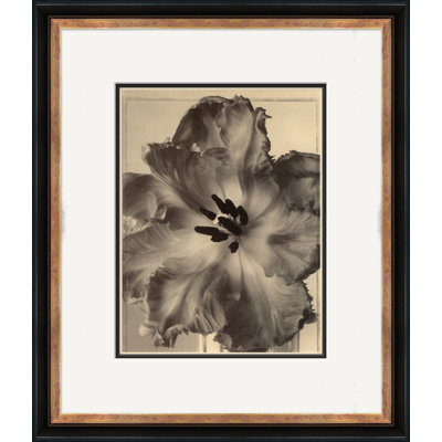 Sepia Flowers 16 Giclee Print