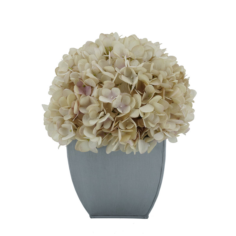 Arrangement d'hortensias écru en pot synthétique, Écru antique, Noir