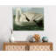 Trumpeter Swan by John Audubon - Wrapped Canvas Painting-1902741490
