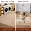 Tapis beige Somos-1668641145-1668641144