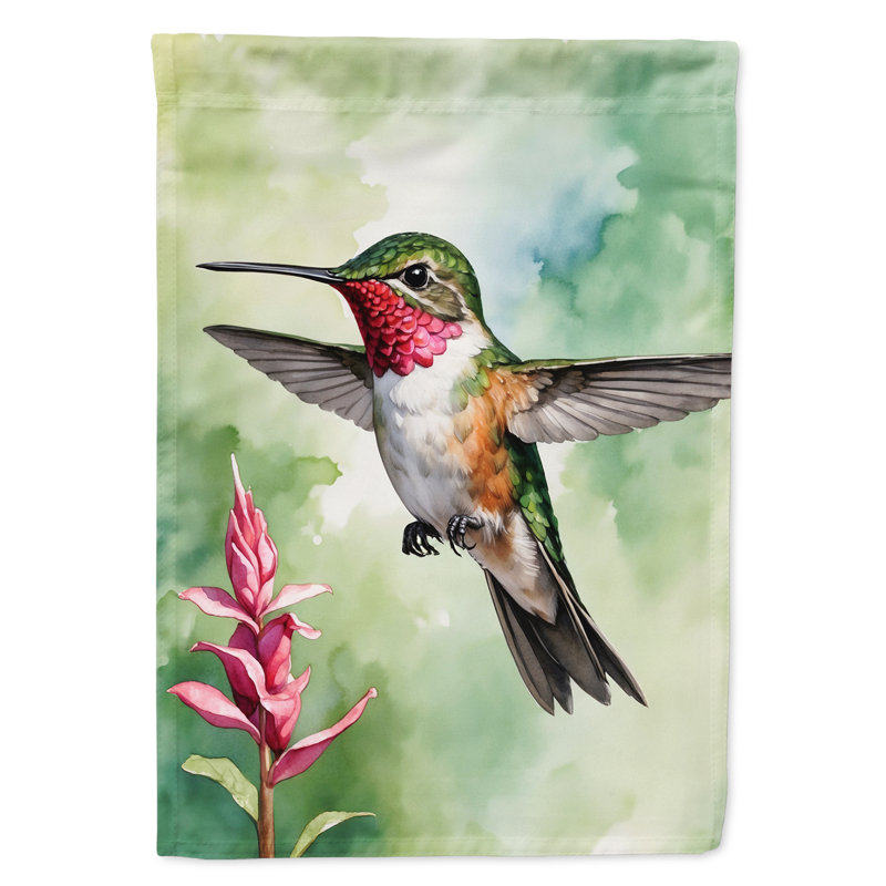 Drapeau de jardin, Calliope Hummingbird