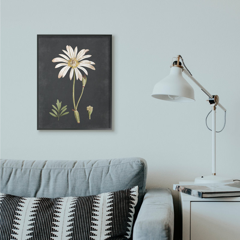 « botanique drawing white on black design », impression, H 30 po x l 24 po, Giclée encadrée noir minuit