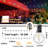 Bryah Solar Smart String Lights Outdoor 25Ft 15 Bulbs Globe G40 LED with Remote and App Control