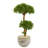39'' Faux Bonsai Tree in Earthenware Pot