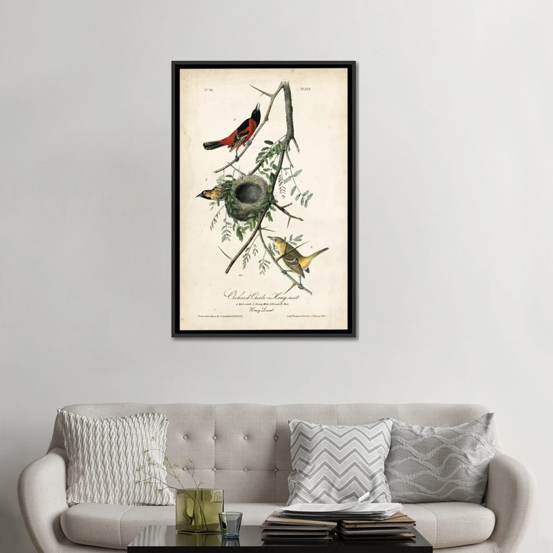 « verger orioles », impression sur toile, H 26 po x l 18 po x P 1,5 po, Toile encadrée noire, Pas de tapis