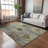 Machine Washable Indoor/Outdoor Leavittsburg ACN2235 Floral Rug-28607825